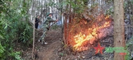 Phu Tho armed forces extinguish forest fire